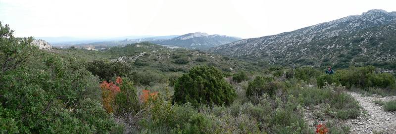 Alpilles