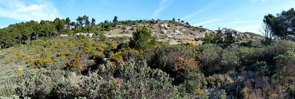 Alpilles