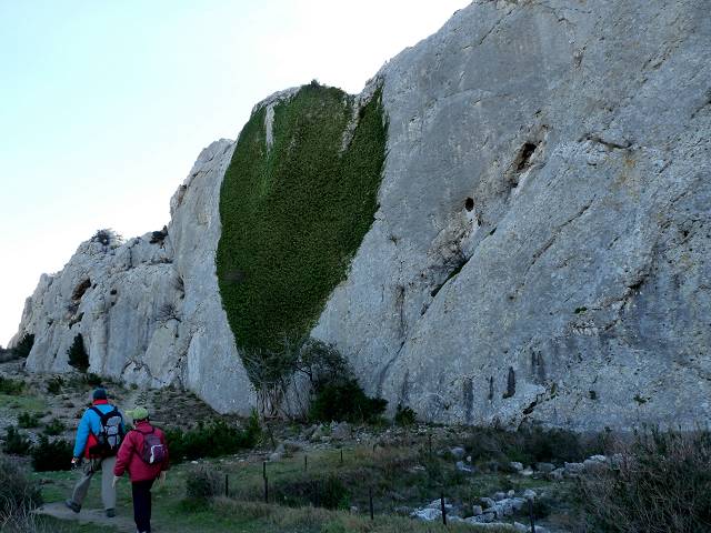 le coeur