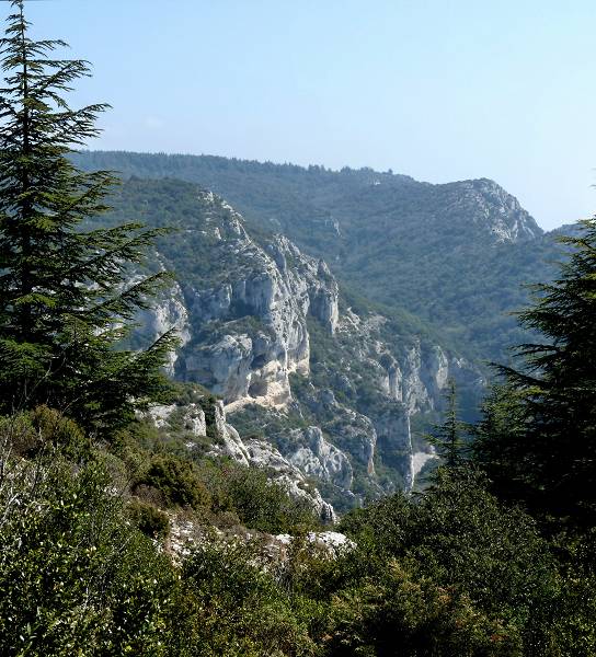 Lubron Roque des Bans