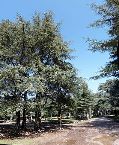 Fort de Cdres