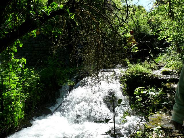 Rocsalire