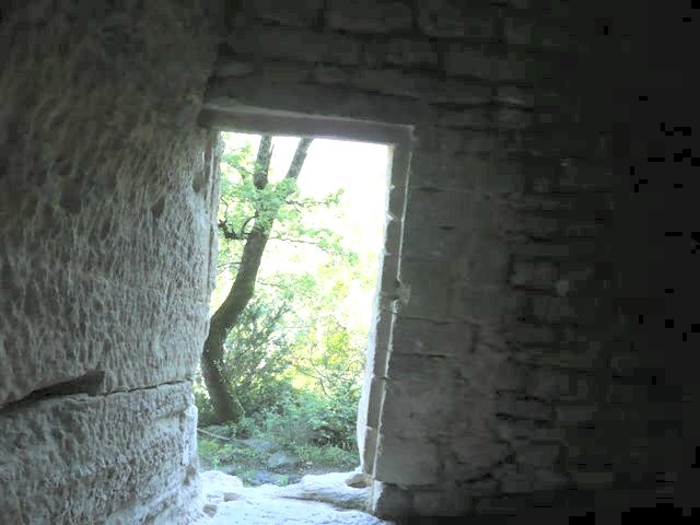 druides