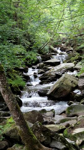 Combe de l'eau