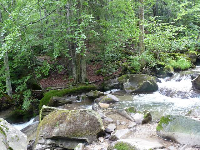 Combe de l'eau