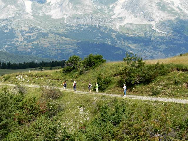 chemin