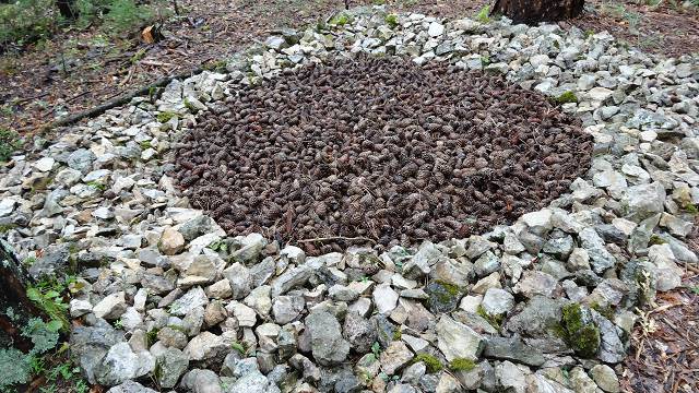 Land Art