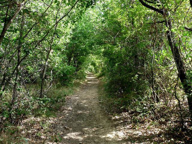 sentier