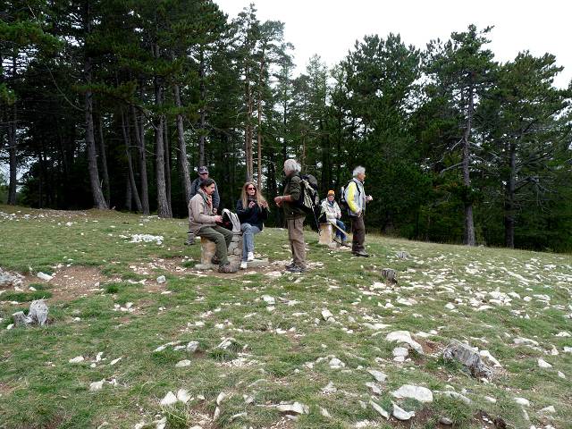 groupe