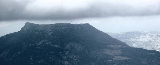 Mvouillon