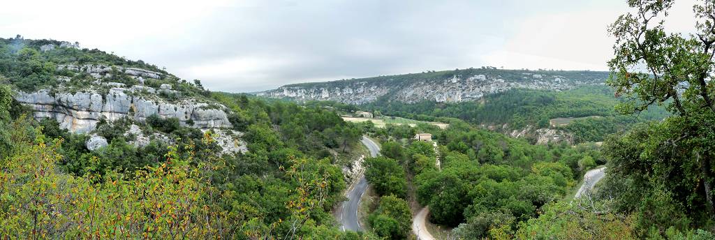 vue