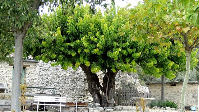Basse Pouraque