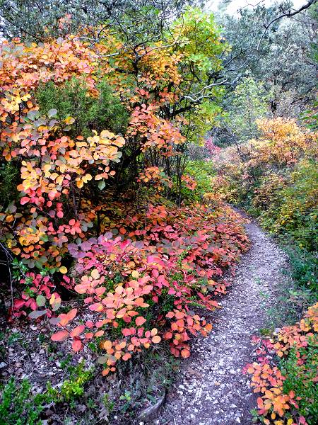 Couleurs d'automne