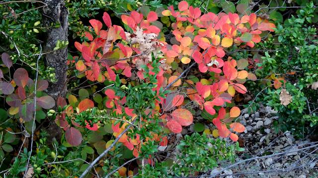 couleurs