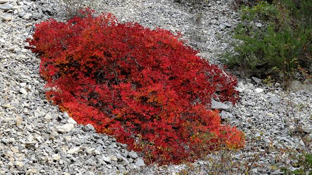 couleurs