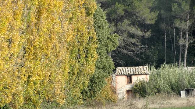 cabanon