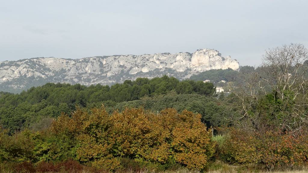 Lubron