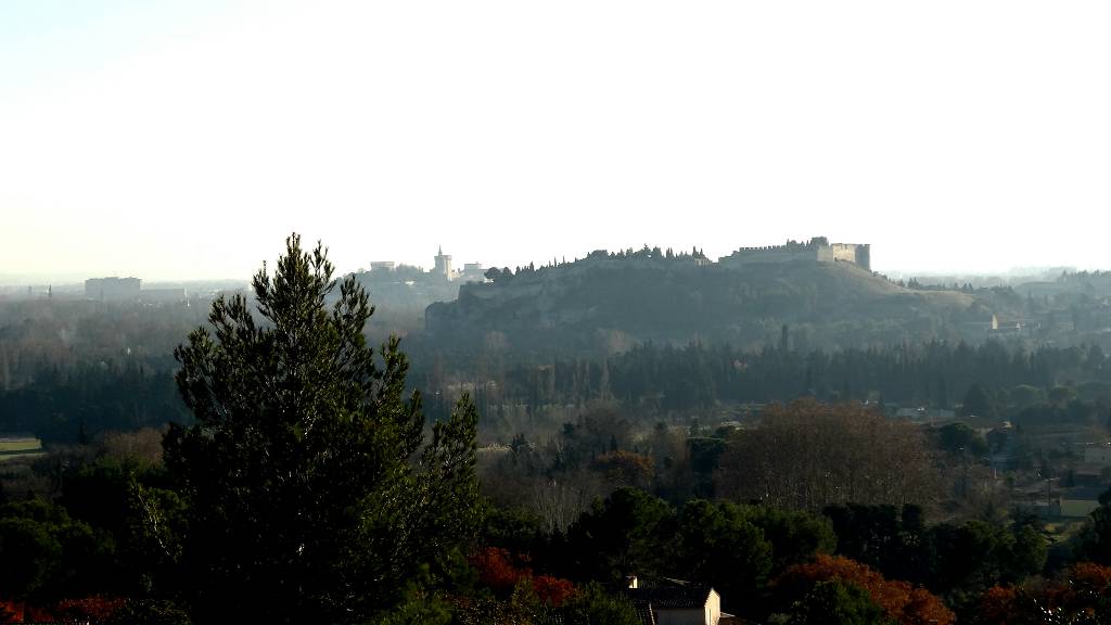 Vue