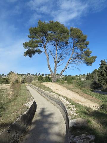 Canal