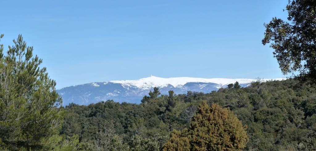 Ventoux