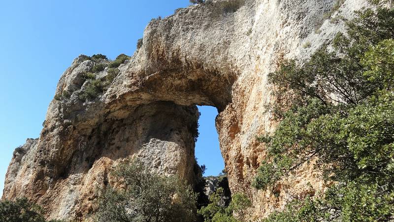 arc