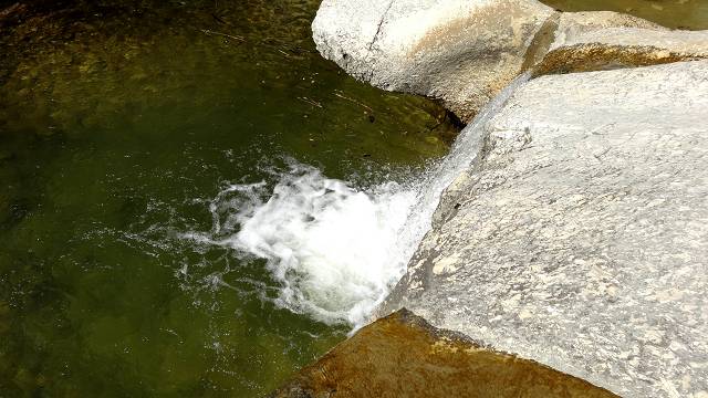 Calavon