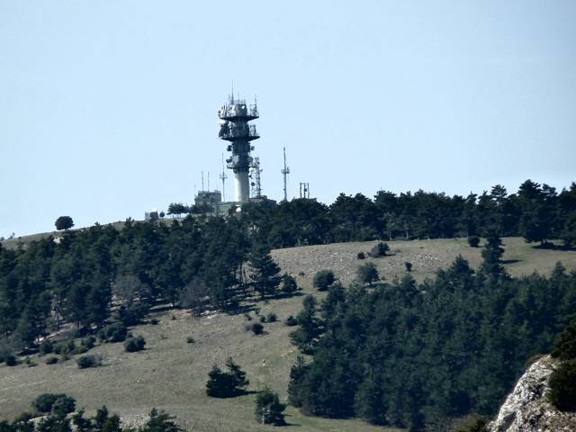 Mourre Nègre