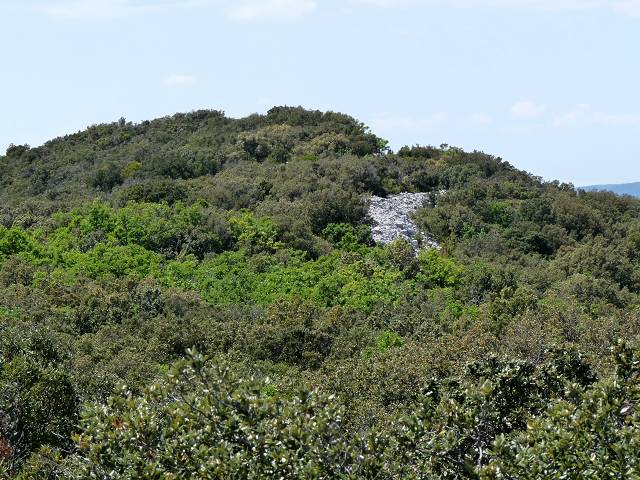 Le pointu