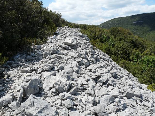 Le pointu