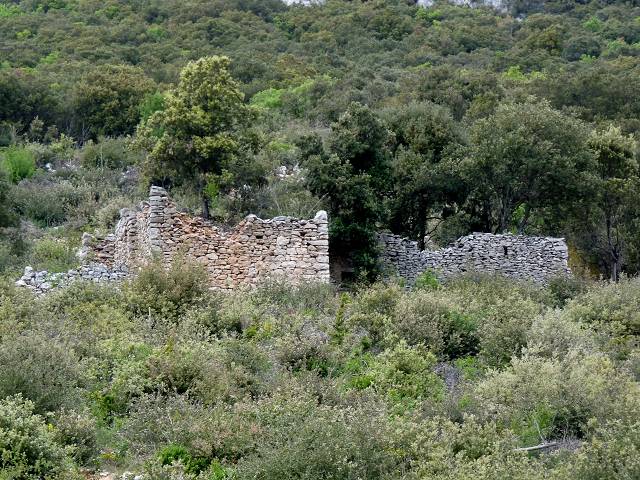 ruine