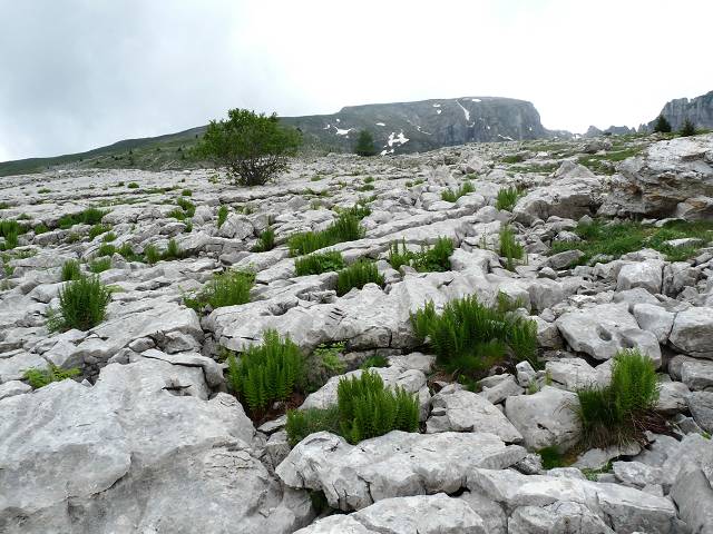 Lapiaz