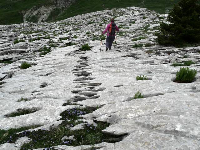 Lapiaz