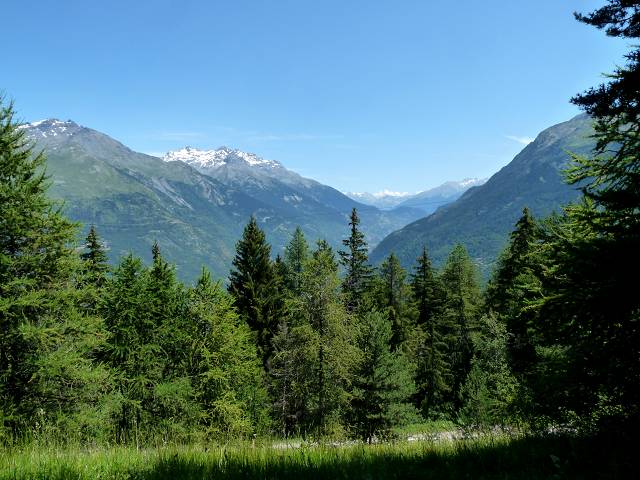 vue