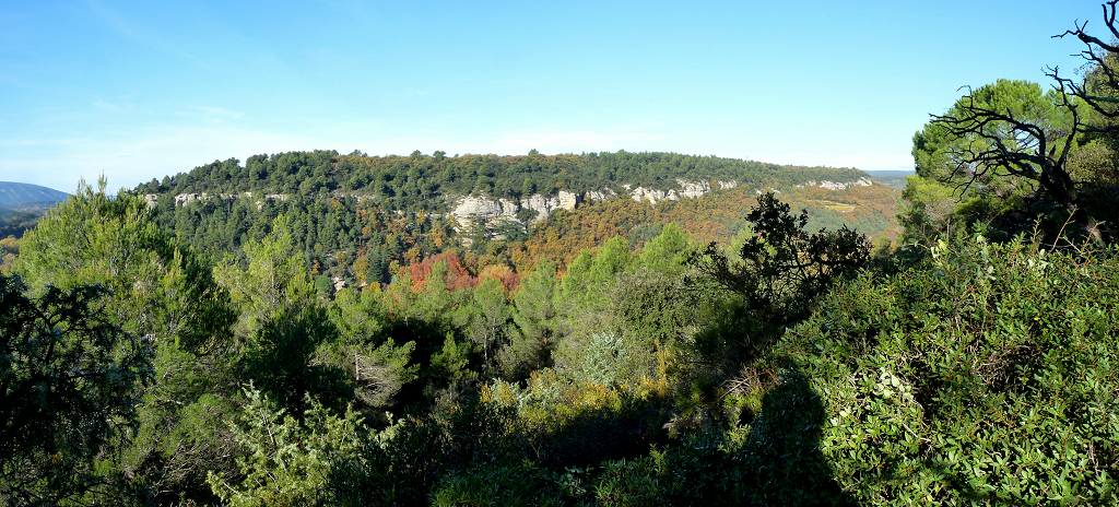 vue