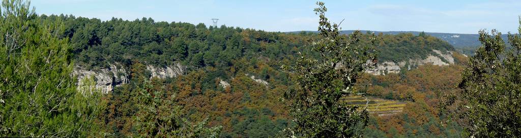 vue