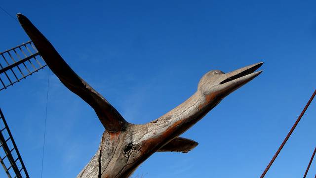 arbre scult