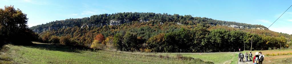 vue