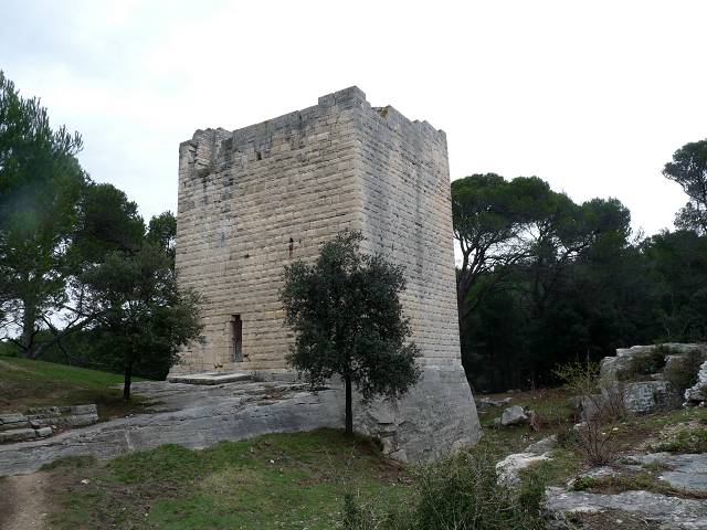 Tour mdivale