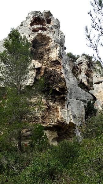 falaise
