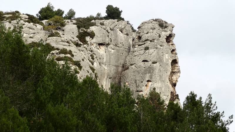 falaise