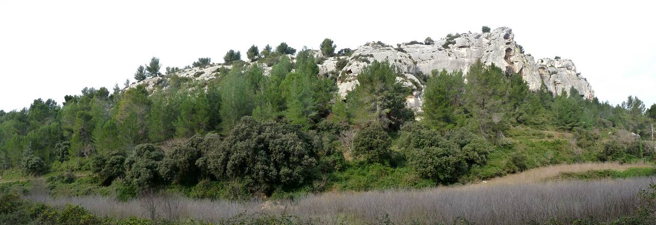 falaise