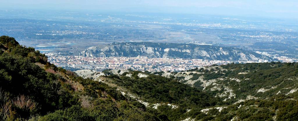 Cavaillon