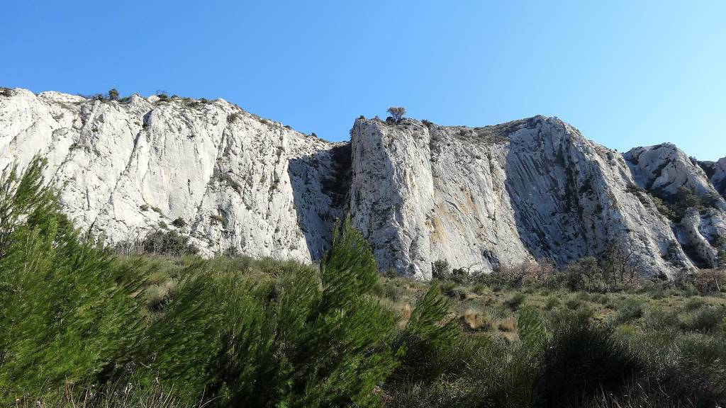 vue