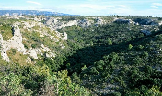 vue