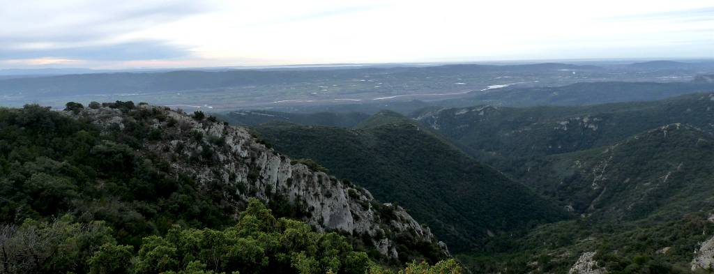 vue