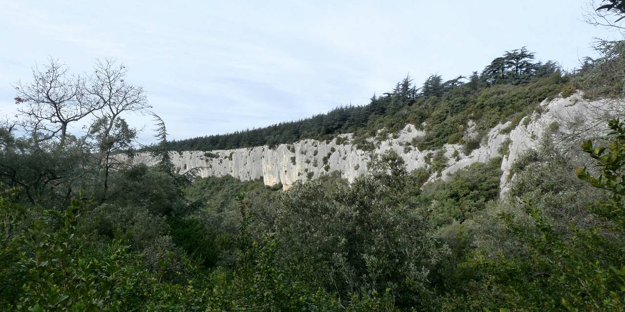Roque des Bans