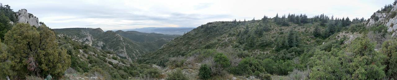 vue