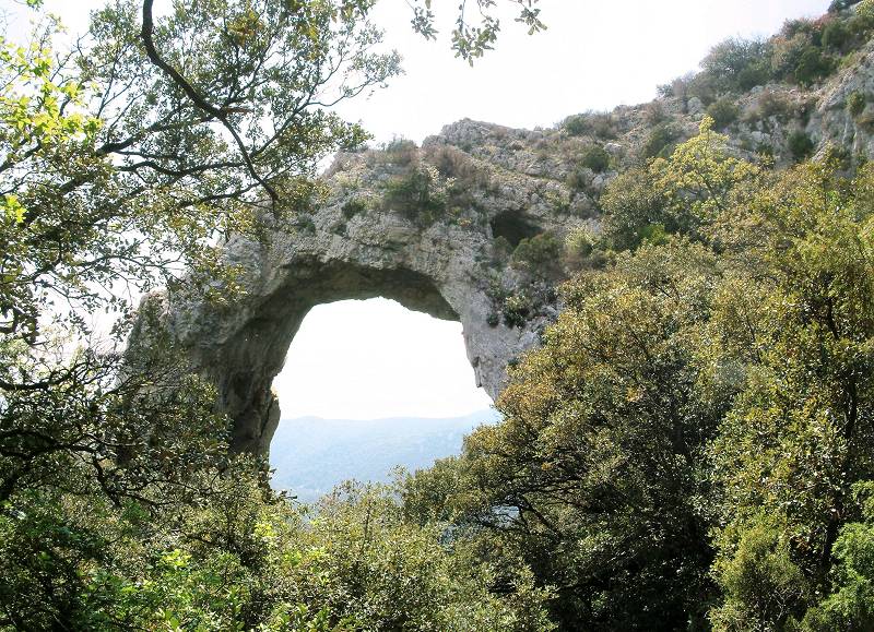 Arche en 2006