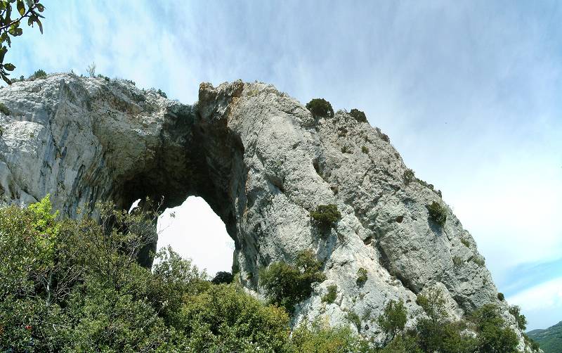 Arche en 2006