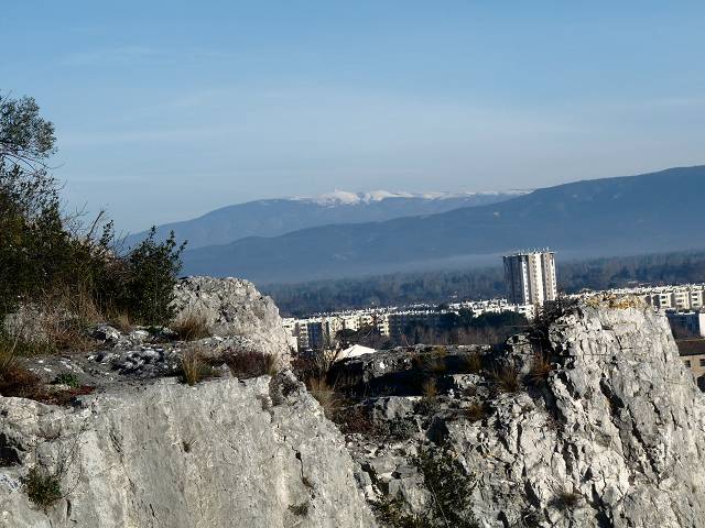vue